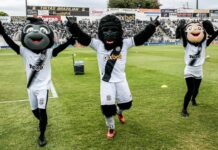 Ponte Preta, el club apodado “A Macaca” que levanta la bandera de la comunidad negra en Brasil