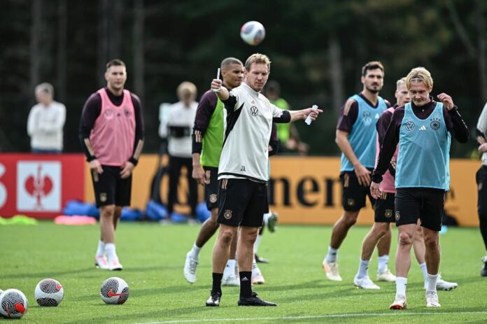 Julian Nagelsmann, DT de Alemania